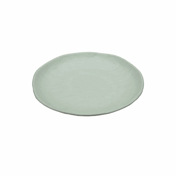Dimple Dinner Plate Matt 26.25 cm Mint Green - Srvw